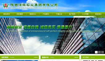 陜西佰旺實業集團有限公司